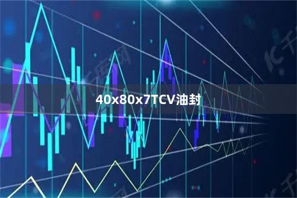 40x80x7TCV油封