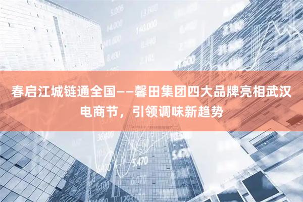春启江城链通全国——馨田集团四大品牌亮相武汉电商节，引领调味新趋势